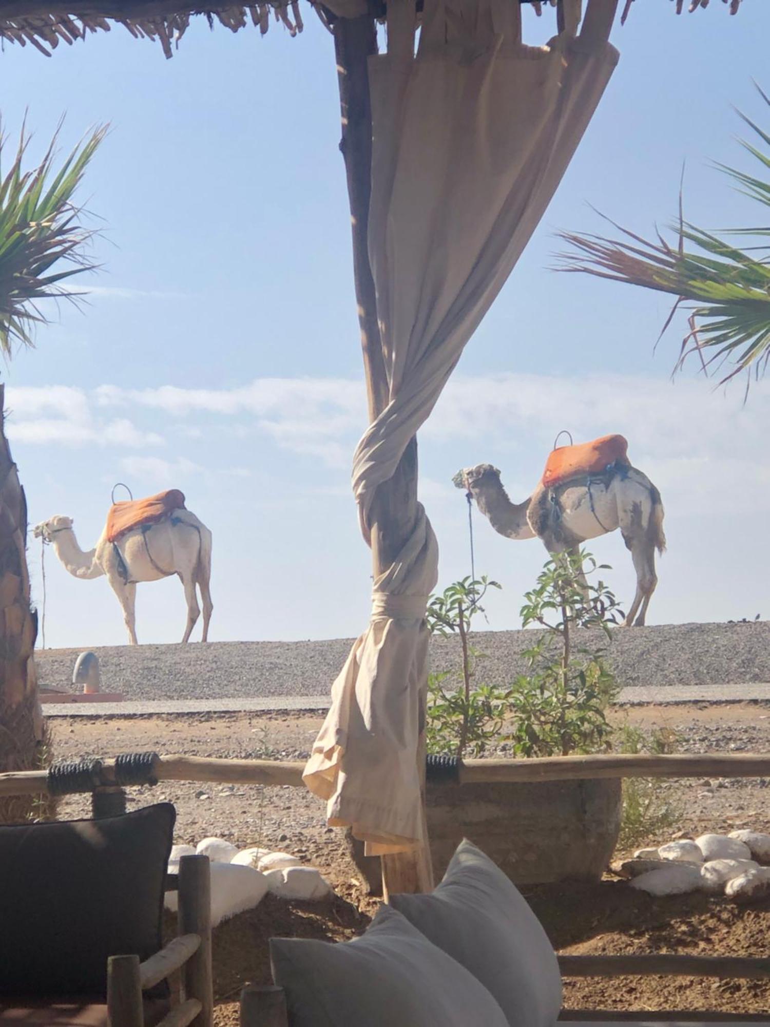 Riad Abbassia Marrakech Premiere Marrakesh Eksteriør bilde