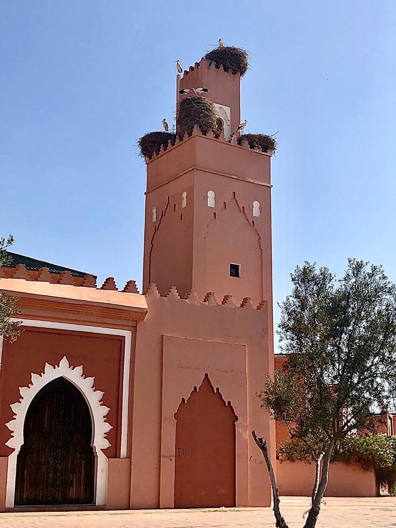 Riad Abbassia Marrakech Premiere Marrakesh Eksteriør bilde