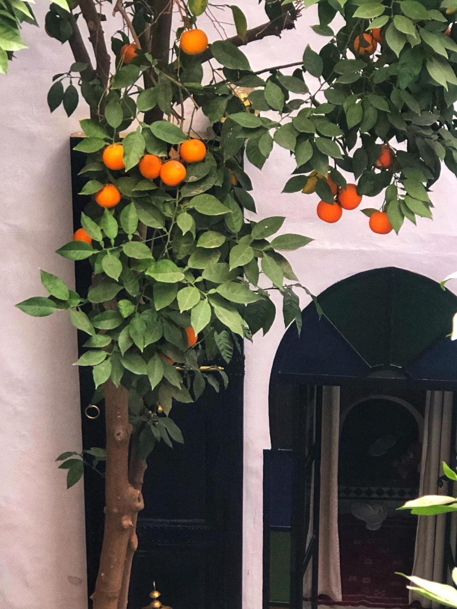 Riad Abbassia Marrakech Premiere Marrakesh Eksteriør bilde
