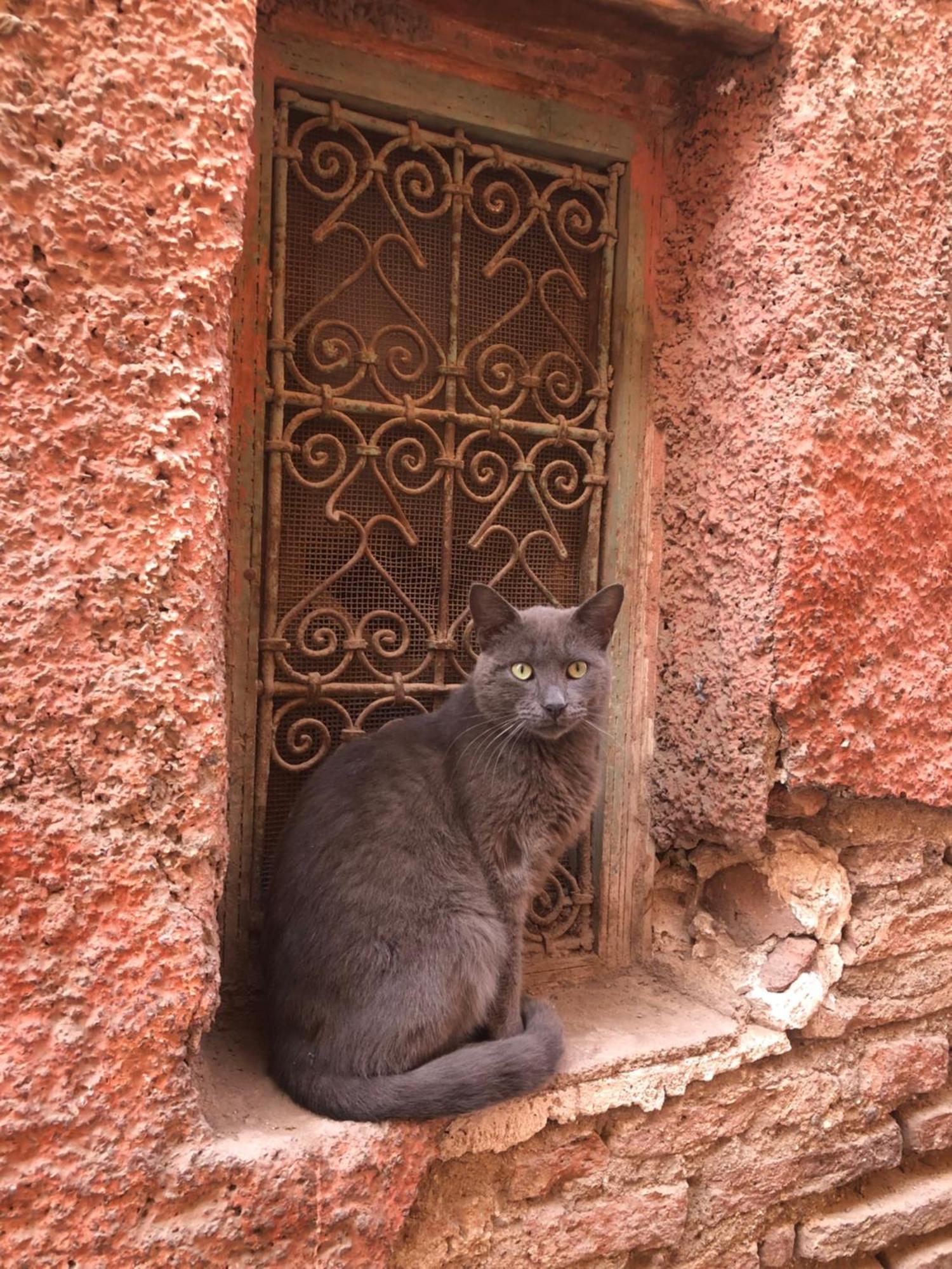 Riad Abbassia Marrakech Premiere Marrakesh Eksteriør bilde